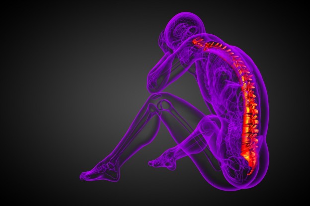 back health at Shape Up Fitness & Wellness Consulting